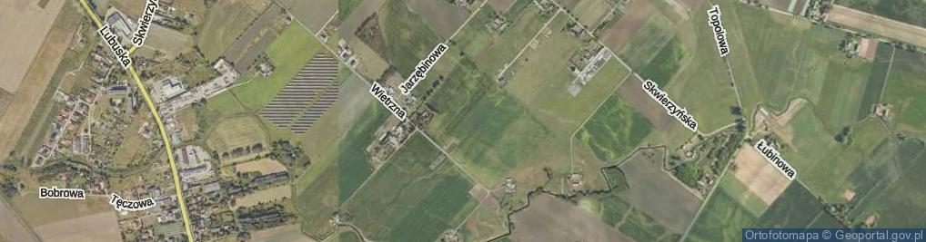 Zdjęcie satelitarne Modrzewiowa ul.